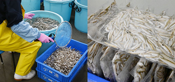 小川原湖漁業協同組合様